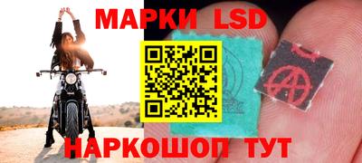 мяу мяу мука Малгобек