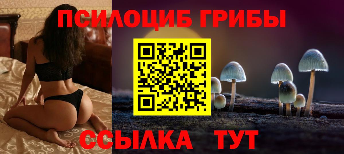 Галлюциногенные грибы ЛСД Губкинский
