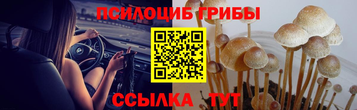 Псилоцибиновые грибы мухоморы  Псилоцибиновые грибы GOLDEN TEACHER  Вход с VPN  Губкинский 